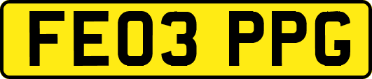 FE03PPG