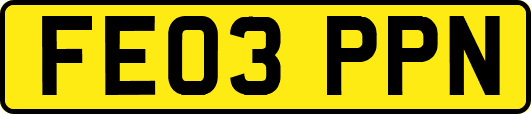 FE03PPN