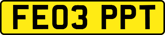 FE03PPT