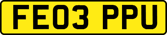 FE03PPU