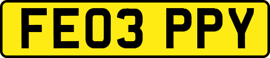 FE03PPY