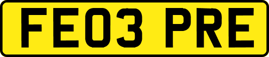 FE03PRE