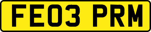 FE03PRM