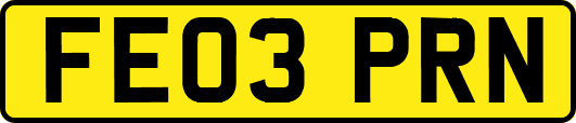 FE03PRN