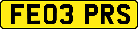 FE03PRS