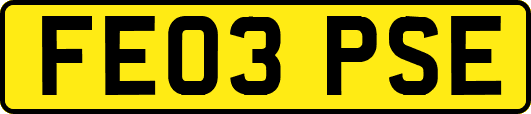 FE03PSE