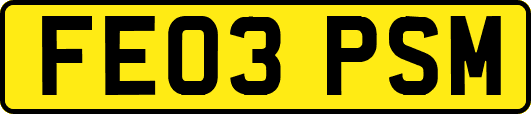 FE03PSM