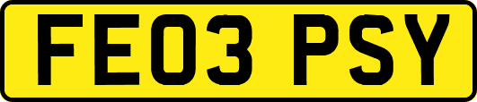 FE03PSY