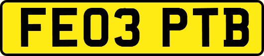 FE03PTB