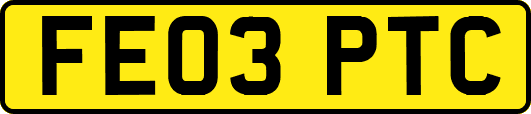 FE03PTC