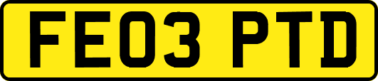 FE03PTD