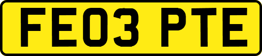 FE03PTE