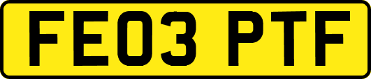 FE03PTF