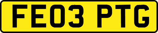 FE03PTG