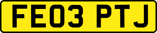 FE03PTJ