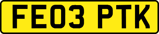 FE03PTK