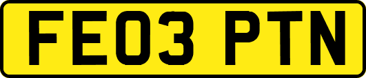 FE03PTN