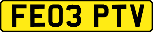 FE03PTV