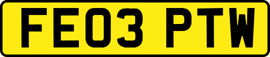 FE03PTW