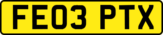 FE03PTX