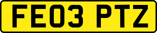 FE03PTZ