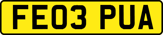 FE03PUA