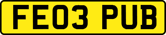 FE03PUB