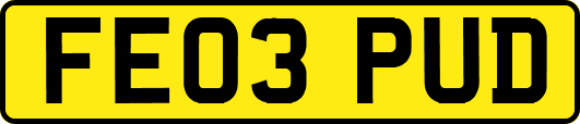 FE03PUD