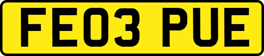 FE03PUE