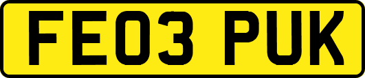 FE03PUK