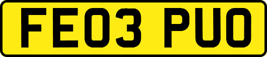 FE03PUO