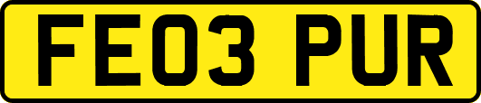 FE03PUR