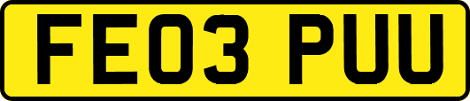 FE03PUU