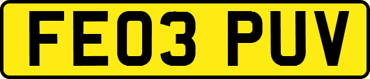 FE03PUV