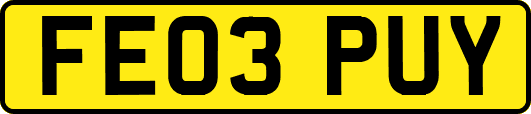 FE03PUY
