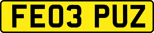 FE03PUZ