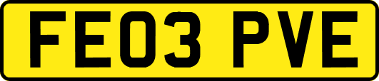 FE03PVE
