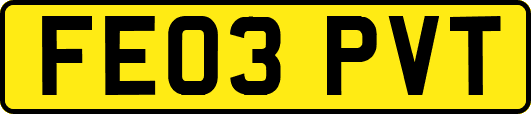 FE03PVT