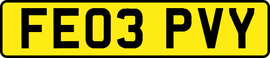 FE03PVY