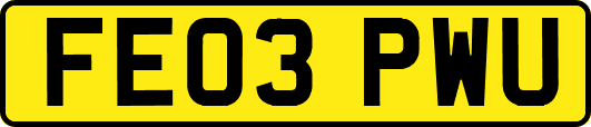 FE03PWU