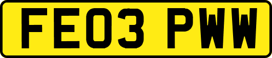 FE03PWW