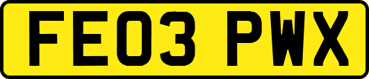 FE03PWX