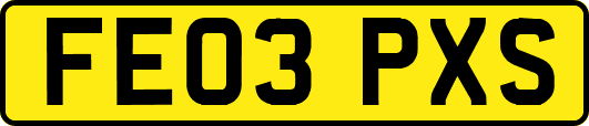 FE03PXS