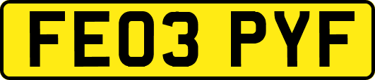FE03PYF