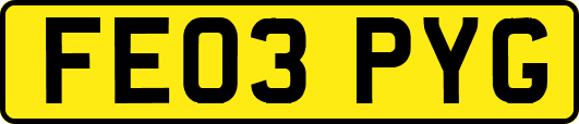 FE03PYG