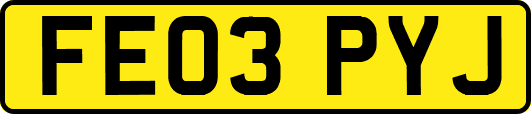 FE03PYJ