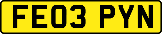 FE03PYN