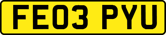 FE03PYU