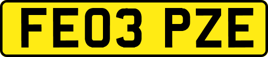FE03PZE