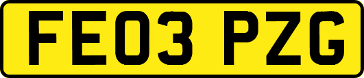 FE03PZG